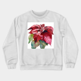 Red Poinsettia Flower original watercolour painting Crewneck Sweatshirt